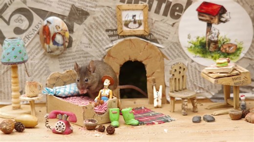 4.3K views · 268 reactions | The #mouse house bedroom . | George the Mouse in a log pile house | Facebook