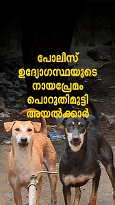 543K views · 5K reactions | അൻപതോളം നായ്ക്കളുമായി താമസിക്കുന്ന പോലീസ്...