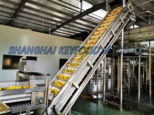 [Hot Item] Juice Concentrate Production Line Juice Processing Line Juice Filling Machinery