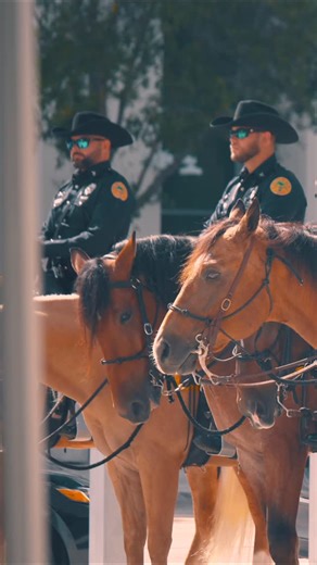 Miami Police Department | Welcome to the family! 🐎🚨 – “Mayami” by Mayami Wynwood – “Wynnie” & “Woodie” by Wynwood BID – “Exclusivo” by Exclusivo Studio – “Buster”... | Instagram