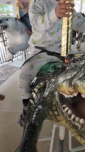 14K views · 85 reactions | Ryze Hendricks on Reels | Facebook