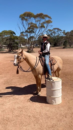 Light Hands Equitation on Reels