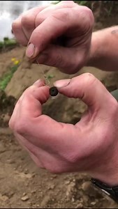 Big river roach on light barbel fishing tactics! That’s the plan for today’s feature with Ian MacMillan on the River Ribble. 💪🏻 Fingers crossed we get a couple redfins in the net. 🎣 | Angling Times