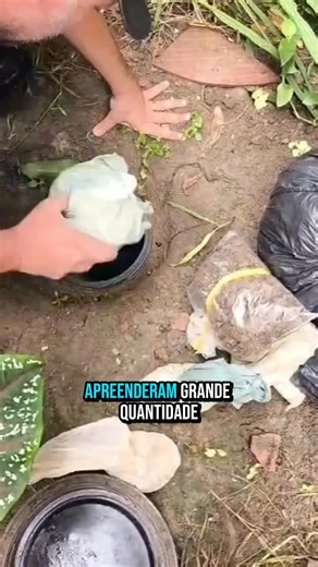 🚔💥 Golpe no tráfico em Araruama! Em ação de inteligência, policiais militares do 25º BPM apreenderam grande quantidade de drogas, materiais e equipamentos usados no crime, causando um prejuízo de mais de R$ 120 mil ao tráfico local. 📍 Rua das Acácias – Viaduto 🆘️ Em caso de emergência, ligue 190 Disque-Denúncia (21) 96880-8687 (WhatsApp) Disque-Denúncia (21) 2253-1177 Conte com a POLÍCIA MILITAR! Conte com o 25º Batalhão! #JornalOCidadao Via: @policiamilitar_rj, @4cpa_pmerj, #OCIDADAO O CIDA