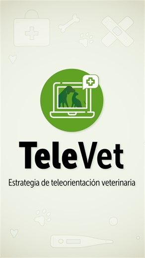 ¿Necesitas una consulta por el estado de salud de tu perro o gato?🐶😺⁉️ Presentamos #TeleVet, la nueva herramienta de teleorientación médico-veterinaria gratis, enfocada en la promoción de la salud y prevención de enfermedades en animales de compañía. Nuestro equipo de #BrigadasMédicas👩🏻‍⚕️🧑🏽‍⚕️🐾 está listo para brindar asesoría y consejería, ante síntomas o situaciones de salud de perros y gatos en la ciudad. ¡Bogotá protege a los animales!✨ | Instituto de Protección y Bienestar Animal