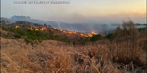 Mississippi Forestry Commission issues statewide Wildland Fire Alert