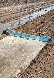 Oddly satisfying farming compilation 🧑‍🌾🌽 | Handy Dandy