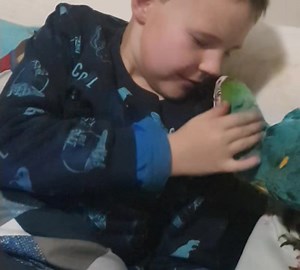 Watching tablet before bedtime | Free Flying with Flynn