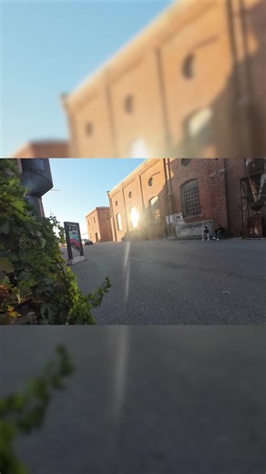 Exploring Midland's Unique Piss Grapes