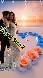 Zaklina Ilic - Linija zivota | Treptaj Srca 2