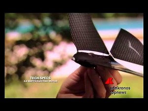 Bionic Bird, il drone uccello che fa impazzire i rapaci