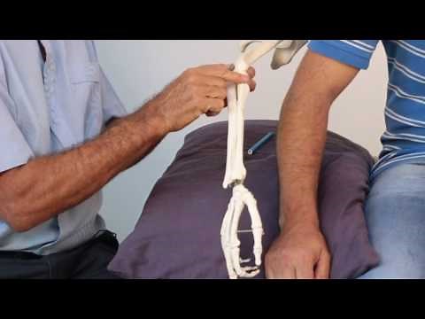 Trigger Point Therapy - Treating Elbow Pain