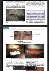 Clinical Anatomy & Physiology of the Visual System PRINTABLE PDF - Etsy