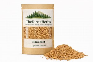 Maca Root – Natural Superfood/lepidium Meyenii - Etsy Canada
