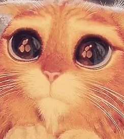 Me perdonas?? Te juro no lo volveré hacer | Soñando que la Vida es una Canción | Facebook