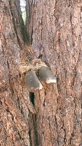 The Mountain's tell stories 🏹 . #bow#archery#bowhunt#bowhunting#bowhunter#hunt#hunting#hunter#huntress#deer#buck#doe#whitetail#elk#fit#fitness#explore#outdoors#fy ( via: @mtn.meadow ) | 𝗕𝗼𝘄𝗛𝘂𝗻𝘁𝗕𝗿𝗼𝘀