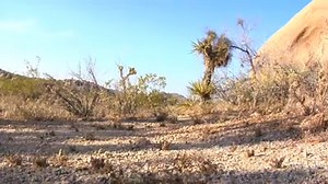 Hi Ladies, got your Jockey Shapewear yet? ;) | Jockey