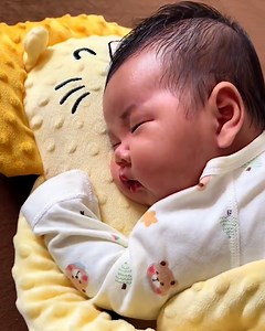 A cuddling doll for your baby is a must 👶🧸 | Dainty