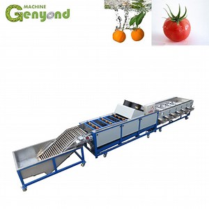 [Hot Item] Fruit Pulp Processing Machine with Factory Price