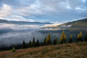 Cel mai mare parc național din Germania începe colaborarea cu Fundația Conservation Carpathia, cel mai mare proiect de conservare a naturii din România / Național Bayerischer Wald: ”Avem de învățat despre pădurile virgine, despre coexistența dintre oameni și animalele sălbatice, despre carnivorele mari”