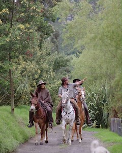 Meet María Solis, an adventurer in search of a new thrill, in a country where amateurs and expert explorers are constantly amazed by the beauty of the #EasternColombianAndes. Join her adventurous journey in Episode 6 of ‘Finding encanto’.​ ​ Check out this Episode at 👇 https://youtu.be/TkUM39DXNRI | Colombia.travel