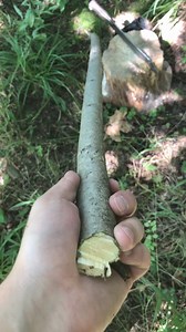 Survival bow build. Full video: https://youtu.be/1780_CxJknw | Dreamcraft Bows