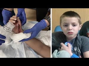 7-Year-Old Is Attacked by Shark During 1st Ocean Swim