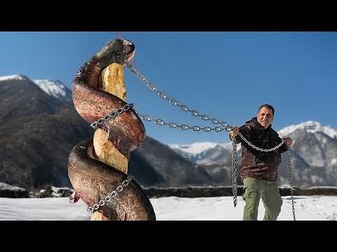 Today's Jörmungandr Caught and Cooked – GIANT NAQQA RECIPE!