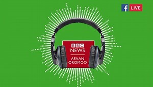 Hayaat Tuubbaa: 'Jaalalan nyaata cuukkoof qabutu hojii isaarratti akkan bobba’u na kakaase' “Jaalala nyaata cuukkoof qabutu hojii isaarratti akkan bobba’u na kakaase” jetti Shamarree Hayaat Tuubbaa Guyyee attamiin akka daldala cuukkoo itti alatti erguu eegalte yoo dubbattu. Shamarree Hayaat Arsi Lixaa Adaabbaatti dhalatte. Naannoo isheen itti guddatte sanattis nyaanni cuukkoo ( Micciirraa) nyaata aadaa bakki guddaan kennamuufidha. “Cuukkoon kun nyaata addaati. Naannoo ani itti dhaladheetti ammoo