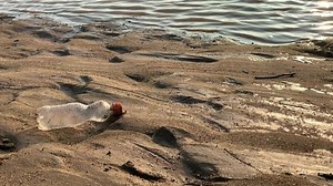 Gebrauchte Plastikflaschen auf dem Sand am: Stockvideos & Filmmaterial (100 % lizenzfrei) 1091346833 | Shutterstock