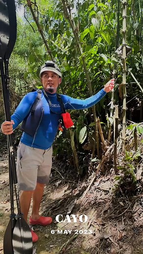 From Cave tubing and kayaking to whale shark diving, Reserve your Belize vacation today: reservations@chabilmarvillas.com. | Chabil Mar Belize Resort