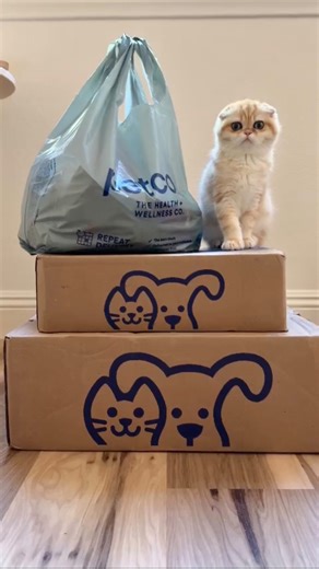 Don’t forget the treats 🤭 While you’re online, our Ruff & Mews sale is happening right meow - *save up to 40% off at Petco.com through July 20th! *See website for details | Petco