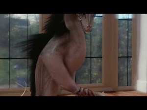 Satellite City #4 - Trust