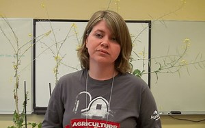 Canola School: Should I Seed a Clubroot-Resistant Variety?