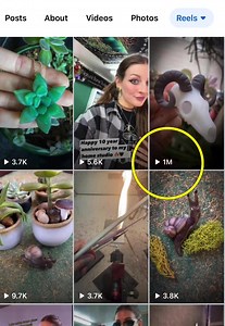 Nature Bone Studio on Reels | Facebook