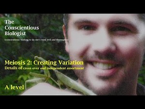 Meiosis 2: Creating variation (Cross over and Independent assortment)