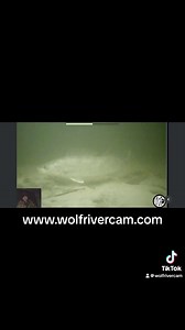 It was a fun night. www.wolfrivercam.com | Wolf River Cam
