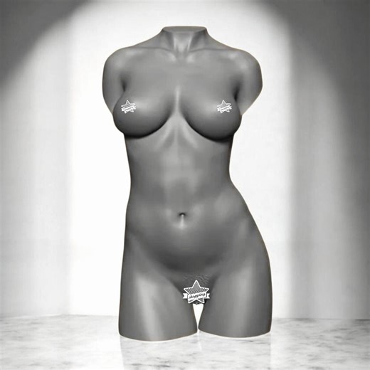 Torse féminin aux courbes généreuses, buste de femme, moule en silicone pour la fabrication de bougies et de savons, décoration minimaliste pour le corps, moule esthétique pour la chambre - Etsy France