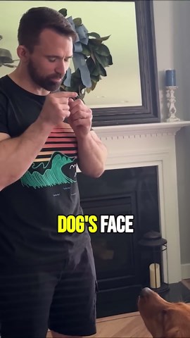 Unlock faster dog training with classical conditioning & positive reinforcement!