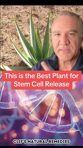 #duet with stemcellchristian #aloemacroclada #greenscreen Exploring Vahona: A Native Health Supplement from MadagascarVahona, a product native to Madagascar, has gained attention as a health supplement associated with longevity and well-being. Derived from natural sources indigenous to the island, Vahona is renowned for its purported health benefits and traditional usage among Malagasy communities.Rich in locally sourced ingredients such as medicinal plants, herbs, and botanical extracts, Vahona