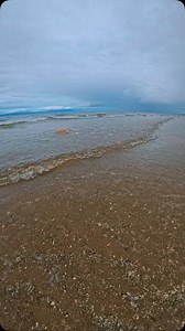 Day trip to Ayr beach! #outdoors #ayr #beach #dogs #beachdays #cockapoo #walks #chill | David Lindsay