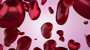 Animation romantique de la Saint-Valentin mettant : vidéo de stock (100 % libre de droit) 3999208055 | Shutterstock