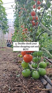 6.7K views · 93 reactions | Want to grow 18 different crops in 2025?...