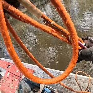 5K views · 142 reactions | The Fisher on Reels | Facebook