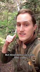 29K views · 1.2K reactions | Jesse of Feral Foraging came to visit me...
