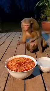 Evil Monkey Prank 😈🥣