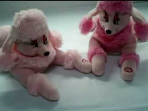 Dancing Singing Cartoon Poodle