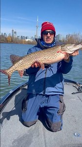 How to Catch Spring Pike in Ontario 🇨🇦 #pikefishing #ontariofishing