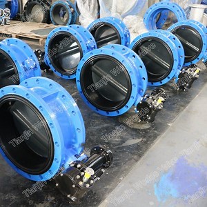 [Hot Item] Halar Coating Disc Double Flange Butterfly Valves