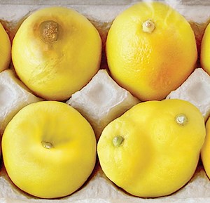 Here's how lemons can help you spot the 12 symptoms of breast cancer | Stylist